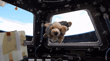 Zero Gravity Space GIF by NASA