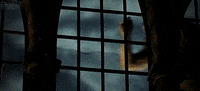 wes craven middle finger GIF