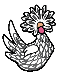 Bird Chicken Sticker