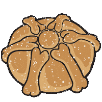 Day Of The Dead Bread Sticker by Ex-Voto Design / Leslie Saiz