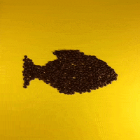 jethroames vine howto favthings GIF