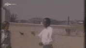 Americansignlanguage GIF by ASL Connect