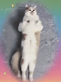 Happy Dance GIF