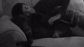 topshelf records prawn GIF
