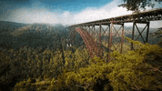 west virginia GIF