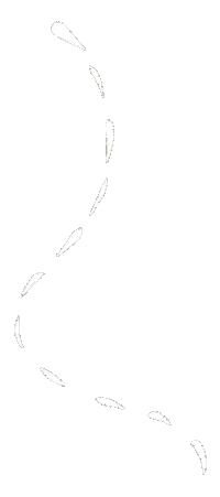 Travel Adventure Sticker by South African Tourism