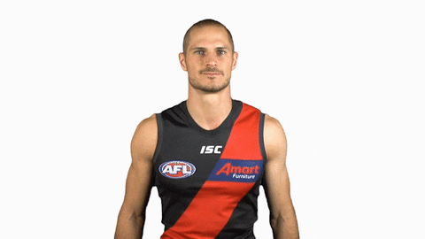 essendonfc giphyupload dons bombers essendon GIF