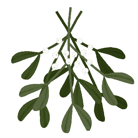 Merry Christmas Sticker