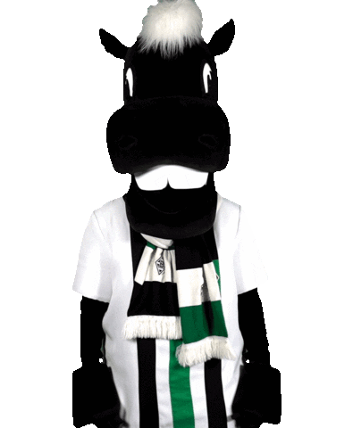 Bmg Fohlen Sticker by Borussia Mönchengladbach