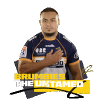 Super Rugby Act Sticker by BrumbiesRugby