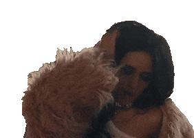 Camila Cabello Sticker by Machine Gun Kelly