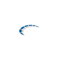 Libertadores Asb Sticker by ABSOLUT Sport Brasil