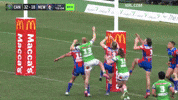 Try Nrl GIF by Canberra Raiders
