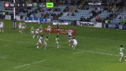Try Nrl GIF by Canberra Raiders