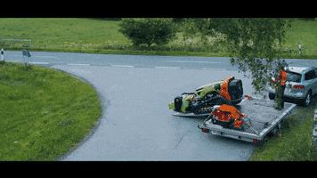 greenclimberna work green working spider GIF