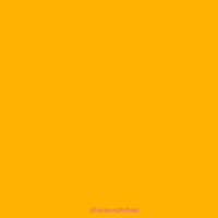 Lets Go Fun GIF