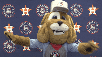 Spike Roundrock GIF by Round Rock Express