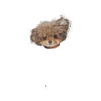 Mojo Sticker by Chara
