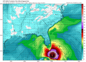 florida looks GIF