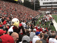 Washington Football Team GIF by Eastern Washington University