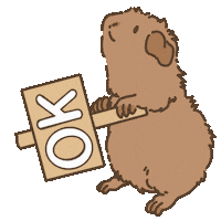 Licht Ok Sticker