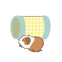 Tunnel Licht Sticker