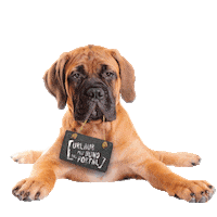 Tierischer_Urlaub hund gassi reisenmithund hundeurlaub Sticker