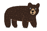 laurasotomiranda bear disco lausoto laudraws Sticker