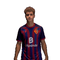 Football Soccer Sticker by FC Basel 1893