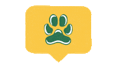 Green And Gold Instagram Sticker by Siena College