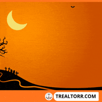 Real Estate Home GIF by Trealtorr