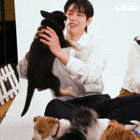 Puppy Puppies GIF by BuzzFeed