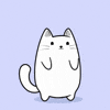 Looking Hold On GIF by MESA My Emotional Support Animal