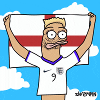 Football Goal GIF by shremps