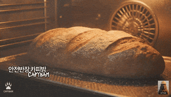 Bread Success GIF