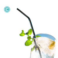 Sommer Erfrischung Sticker by PFERDESTALL
