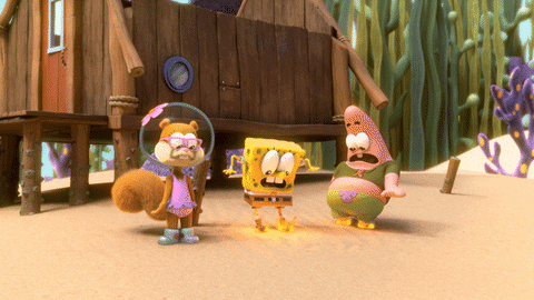 Kamp Koral GIF by SpongeBob SquarePants