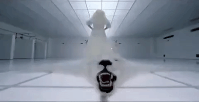 music video mv GIF by Lady Gaga