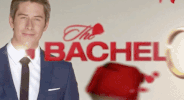season 22 abc GIF by The Bachelor