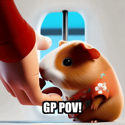 Guinea Pig Pov GIF by Guinea Gambino