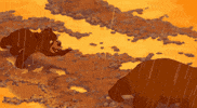 walt disney animation studios bear GIF by Disney