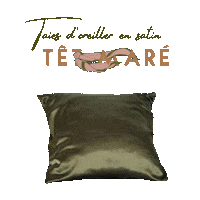 tetmare pillow satin pillowcase oreiller Sticker
