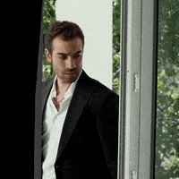 Window Searching GIF by Burak Berkay