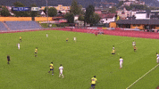 Jordan Amavi Zidane GIF by Olympique de Marseille