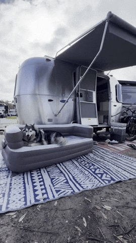 Airstream Camping GIF