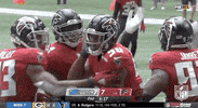 Regular Season Football GIF by NFL