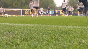 umichathletics  GIF
