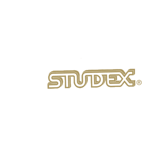 studex giphyupload gift piercing earring Sticker