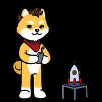 DogelonMars dog meme space crypto GIF