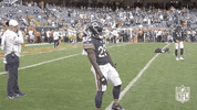 Regular Season Football GIF by NFL